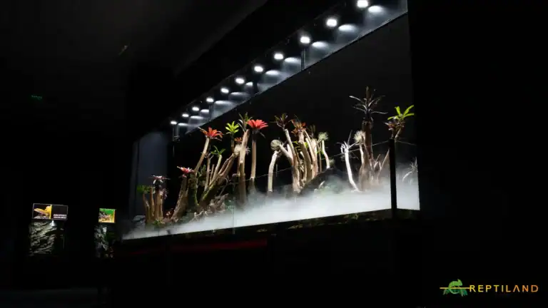 Reptiland Bucharest