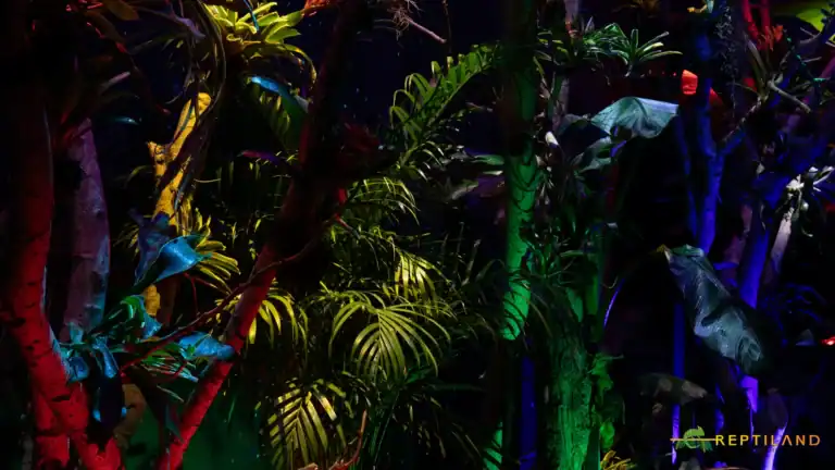 Reptiland Bucharest